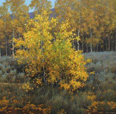 Dennis Doheny Young Aspen