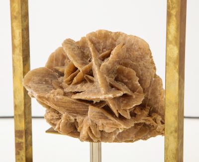 Desert Rose Lamp