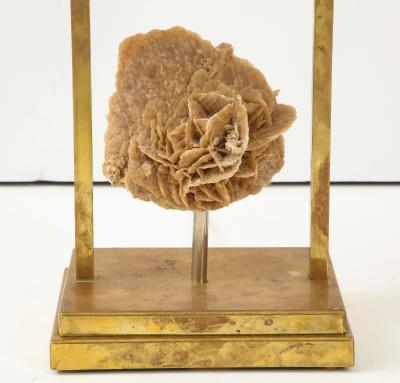 Desert Rose Lamp