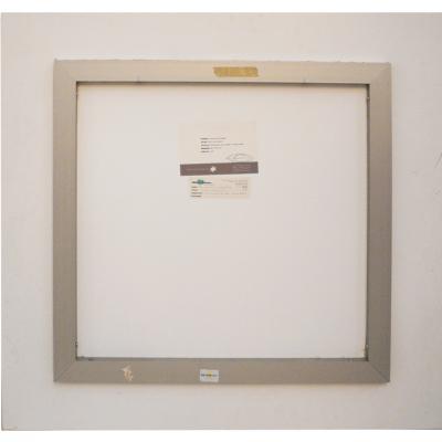 Dionisio Gonz lez Situ Acciones II Dionisio Gonz lez 2001