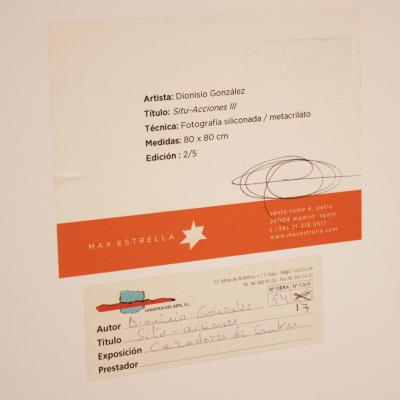 Dionisio Gonz lez Situ Acciones III Dionisio Gonz lez 2001