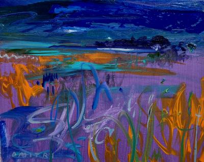 Dmitri Wright Maine Nocturne Opus XX