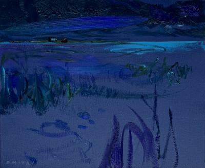 Dmitri Wright Maine Nocturne Opus XXIV