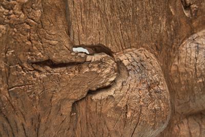 Dogon Door with Carved Details Mali Early 20th Century