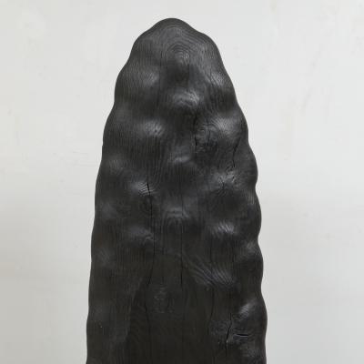 Dolman III Hand Carved Oak Contemporary Sculpture