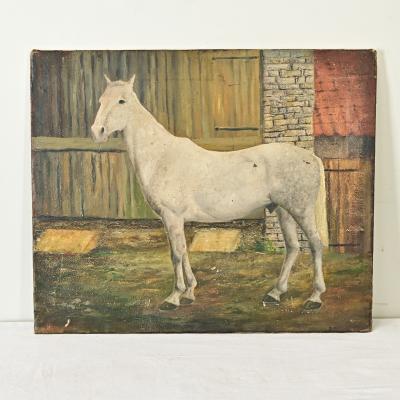 Dominic Fels English Portrait of a White Horse by Dominic Fels