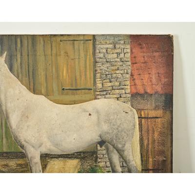 Dominic Fels English Portrait of a White Horse by Dominic Fels