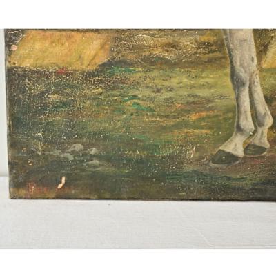 Dominic Fels English Portrait of a White Horse by Dominic Fels