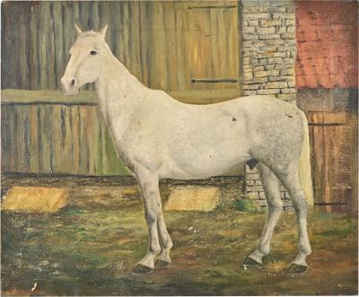 Dominic Fels English Portrait of a White Horse by Dominic Fels