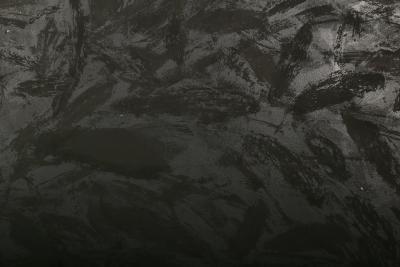 Donald Sultan Black Roses