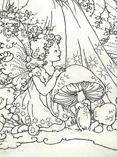 Doreen Baxter Wonderland Tale Fairy Tale Female Illustrator
