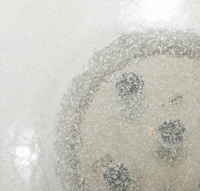 Doria Leuchten XL Doria Seed Glass Dome Flushmount