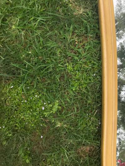 Dorothy Draper Wonderful Pair Tall French Provincial Wall Mirrors Hollywood Regency