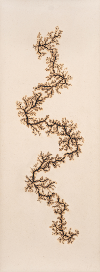 Douglas White Lichtenberg Drawing 1 2026