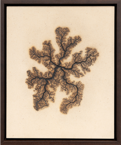Douglas White Lichtenberg Drawing 14 2026