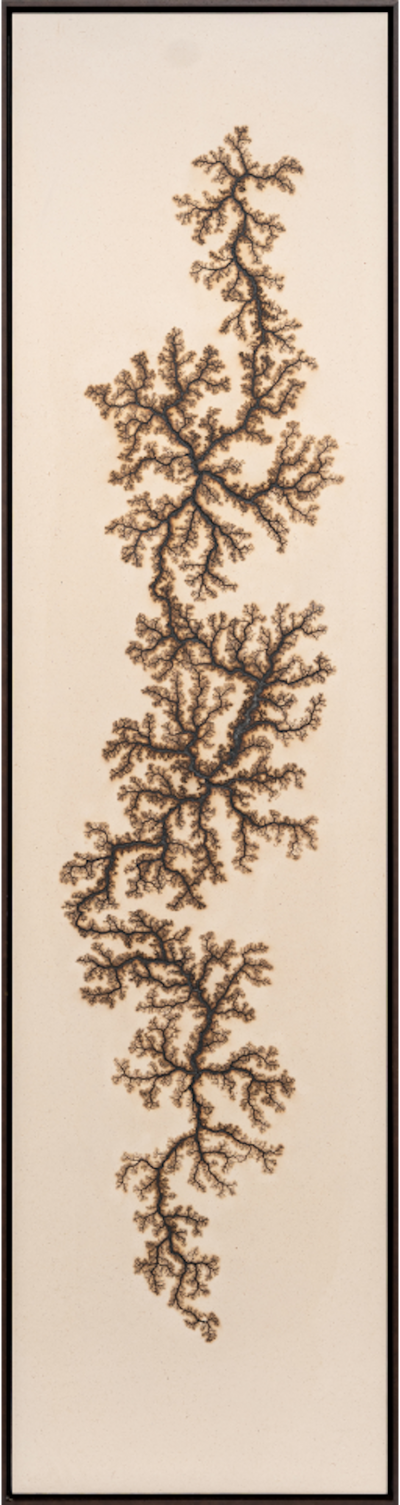 Douglas White Lichtenberg Drawing 3 2026