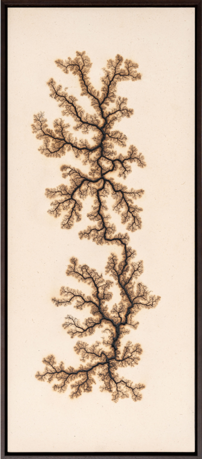 Douglas White Lichtenberg Drawing 6 2026