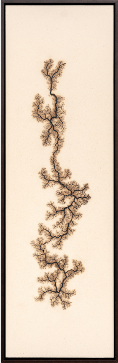 Douglas White Lichtenberg Drawing 7 2026