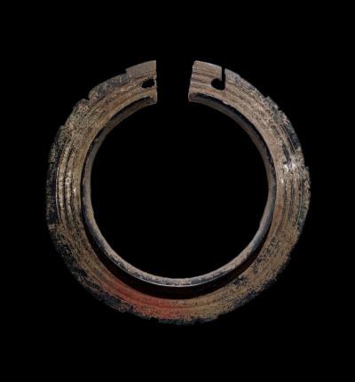 Dragon Disk