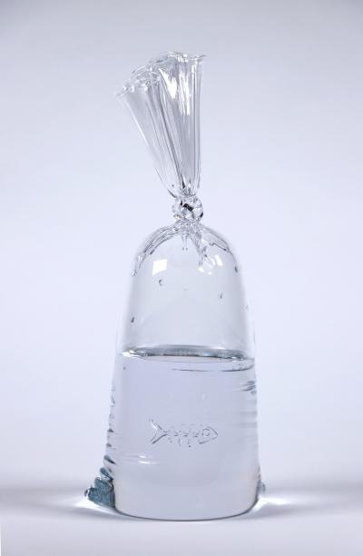 Dylan Martinez Bubble Fish 2 Skeleton 