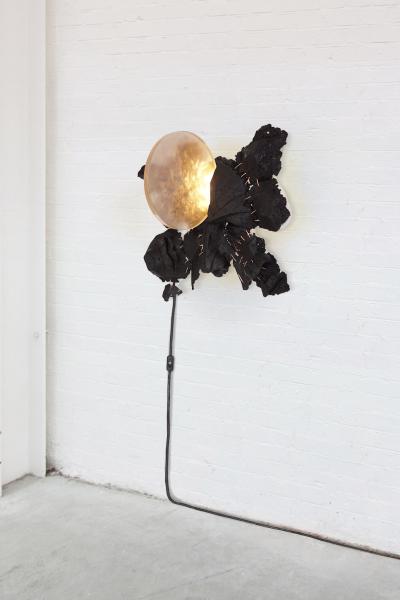 EDUARD LOCOTA Butterfly Sconce by Eduard Locota Wall Mounted Sculpture Acrylic Glass Coal