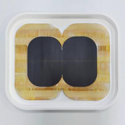 EDWARD MCHUGH Centerfold 2020 21