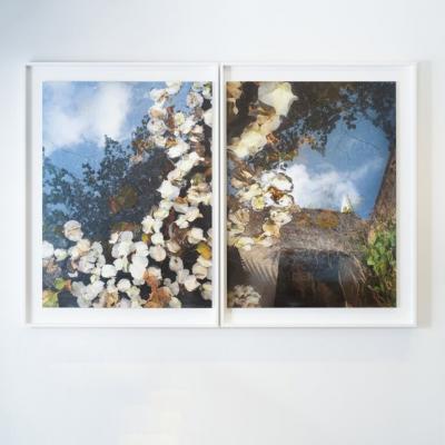 EDWARD MCHUGH Powells Garden Diptych 2022