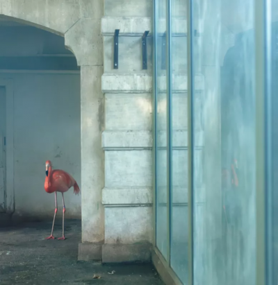 ERIC PILLOT Blue Flamingo 2010