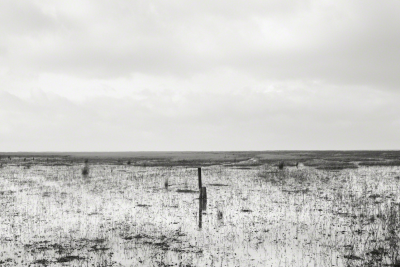 ERIC PILLOT Horizons 0557 2015