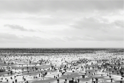 ERIC PILLOT Horizons 9161 2015