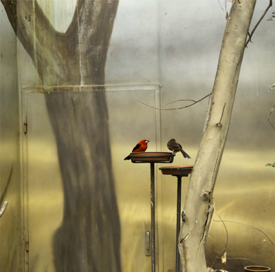 ERIC PILLOT Two Birds and Manger 2012