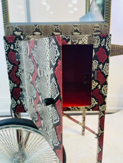 EXCEPTIONAL CUSTOM PYTHON FINISHED POPCORN MAKER CART