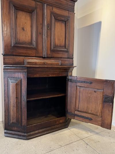 Early 19th Century Continental Cupboard