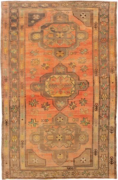 Early 20th Century Antique Khotan Wool Rug 4 X 7