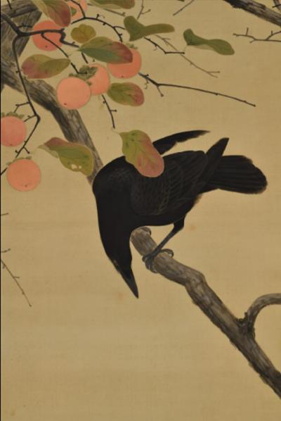 Early 20th Century Japanese Nihonga Scroll Crow Persimmon 