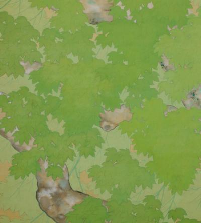 Early 20th Century Pair of Japanese Screens Deer under Maple Trees