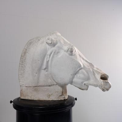 Early 20th Century Plaster of Selenes Horse France