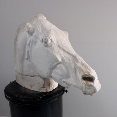 Early 20th Century Plaster of Selenes Horse France