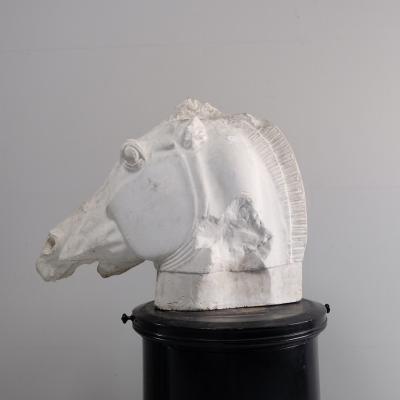 Early 20th Century Plaster of Selenes Horse France