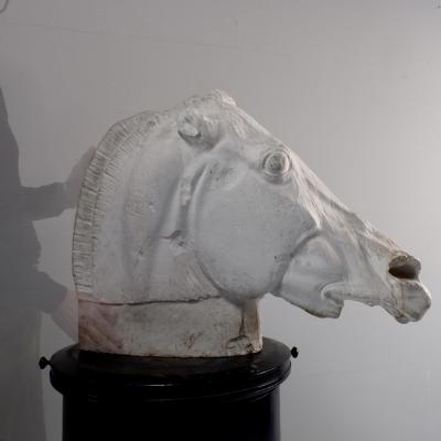 Early 20th Century Plaster of Selenes Horse France