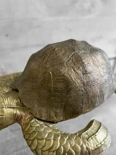 Edizioni Molto Large Brass Turtle Molto Editions