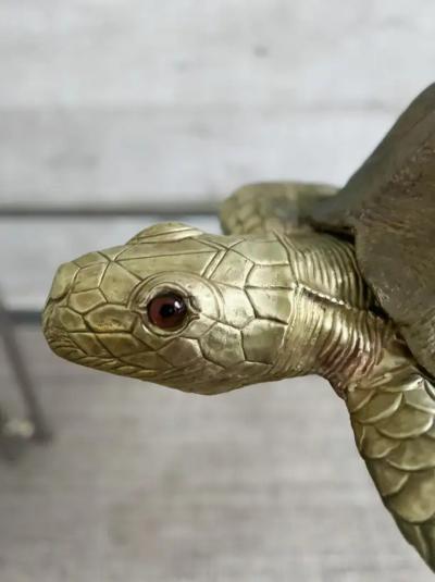 Edizioni Molto Large Brass Turtle Molto Editions