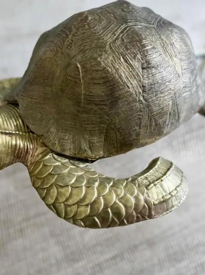 Edizioni Molto Large Brass Turtle Molto Editions