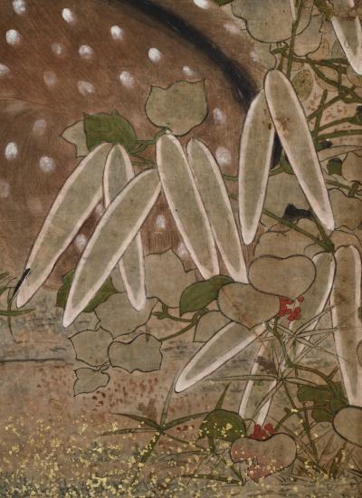 Edo period Japanese Screen Spotted Deer and Autumn Flowers