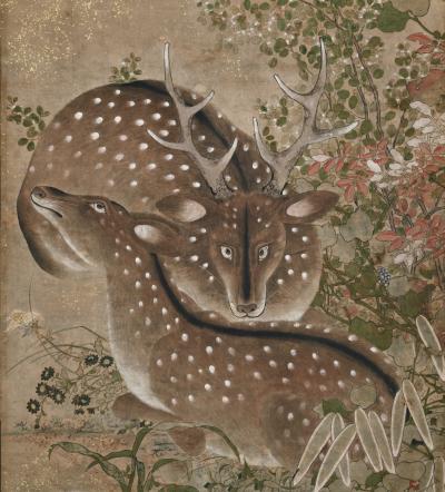 Edo period Japanese Screen Spotted Deer and Autumn Flowers