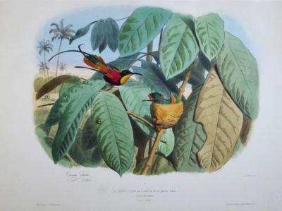 Edouard Travies EDOUARD TRAVIES 1809 1865 LE PIERRE GARIN PL 10