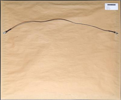 Eduardo Arranz Bravo Cosmos 4