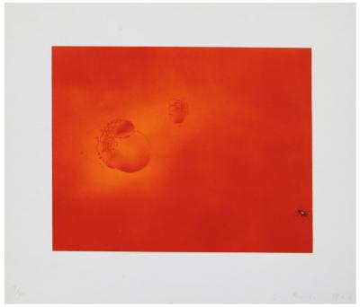 Edward Joseph Ruscha Boiling Blood Fly