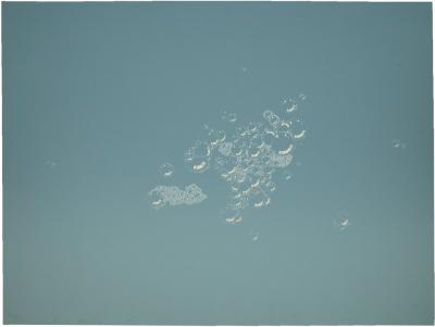 Edward Joseph Ruscha Suds