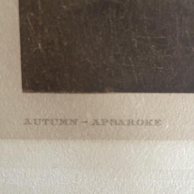 Edward S Curtis Edward S Curtis Autumn Apsoroke 1908